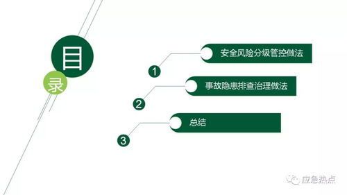 企业风险分级管控及隐患排查治理双体系培训 风险分级管理实务探讨